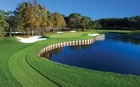 Innisbrook Golf Photo