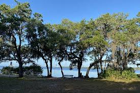 Oldsmar Trail Photo