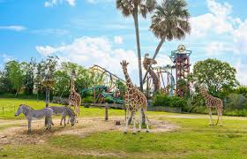 Busch Gardens Animals Photo
