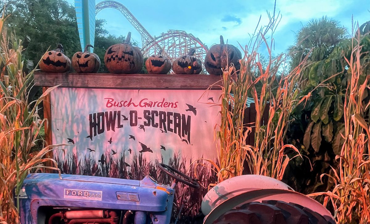 Busch Gardens Events Photo