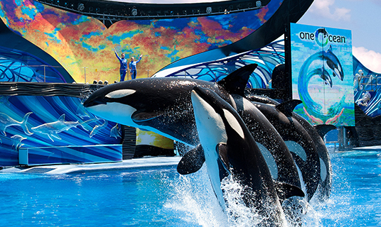 SeaWorld Photo